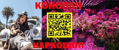 а пвп мука Можга