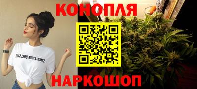 соль ск Моздок
