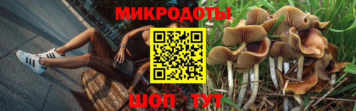 Псилоцибиновые грибы GOLDEN TEACHER Усолье-Сибирское