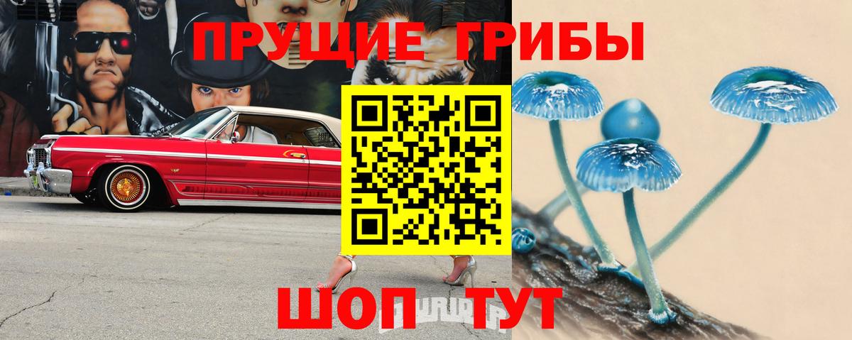 Галлюциногенные грибы MAGIC MUSHROOMS  Вход с VPN  Усолье-Сибирское 
